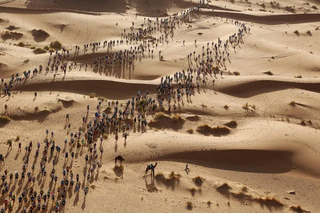 Marathon des sables: Participants set off on a timed stage of the Marathon des Sables, in the Sahara Desert in southern Morocco. The Marathon des Sables (Marathon of the Sands) is run over 250 kilometers in temperatures of up to 50℃. Participating runners and walkers must carry their own backpacks with food, sleeping gear, and other material. The marathon is conducted in six stages, over seven days, with one long stage of more than 80 kilometers. The first Marathon des Sables was held in 1986 with 186 competitors. The event now attracts more than 1,000 participants from around 50 countries. (Photo by Erik Sampers/World Press Photo)