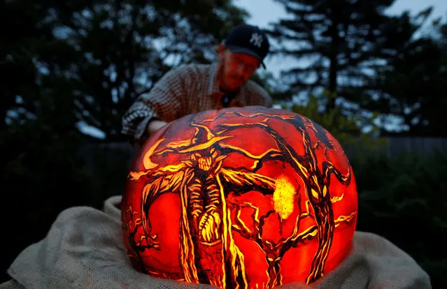 Thomas Olton checks the lighting of a pumpkin decorated for the Night of 1,000 Jack-o'-Lanterns event at the Chicago Botanic Garden in Glencoe, Illinois, U.S., October 21, 2016. (Photo by Jim Young/Reuters)