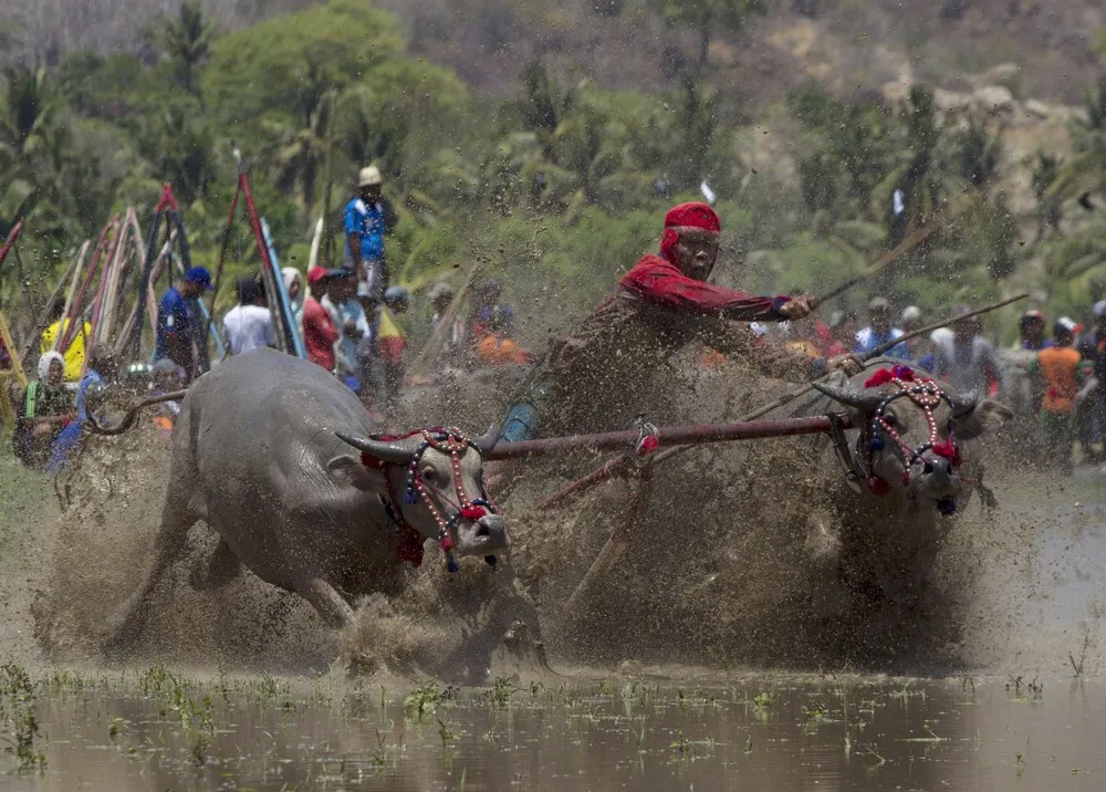 The Day in Photos – November 24, 2015