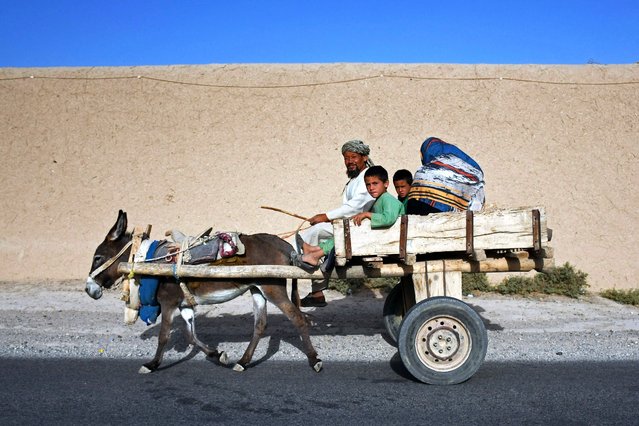 An Afghan man rides a donkey cart with his family along a street at a village in Balkh district of Balkh province on September 15, 2025. (Photo by Atif Aryan/AFP Photo)