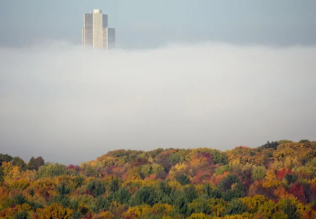 The Corning Tower at the Empire State Plaza in Albany is shrouded in autumn colors and morning fog from the Hudson River as seen from East Greenbush, N.Y., on Tuesday, October 27, 2015. (Photo by Mike Groll/AP Photo)