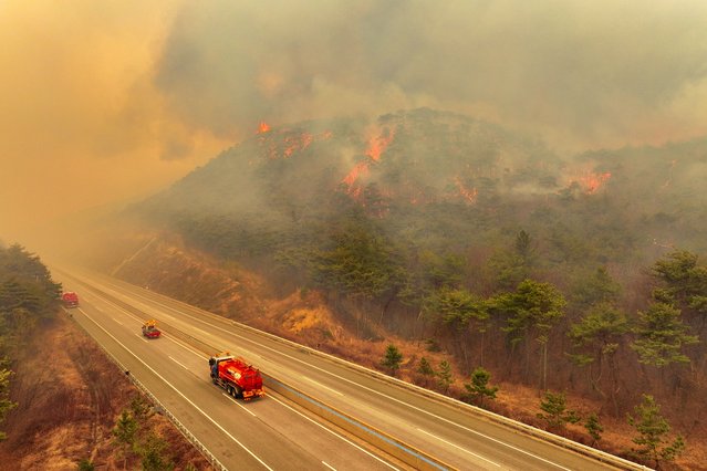 A road is closed in Uiseong,, North Gyeongsang Province, South Korea, 24 March 2025, as a wildfire fueled by strong winds spreads for the third consecutive day. (Photo by Yonhap/EPA)