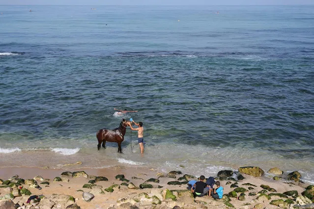 A Palestinian man bathes his horse in the Mediterranean Sea in Gaza City on October 7, 2016. (Photo by Mohammed Abed/AFP Photo)