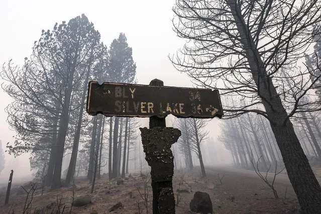 A sign damaged by the Bootleg Fire stands among the haze on Thursday, July 22, 2021, near Paisley, Ore. (Photo by Nathan Howard/AP Photo)