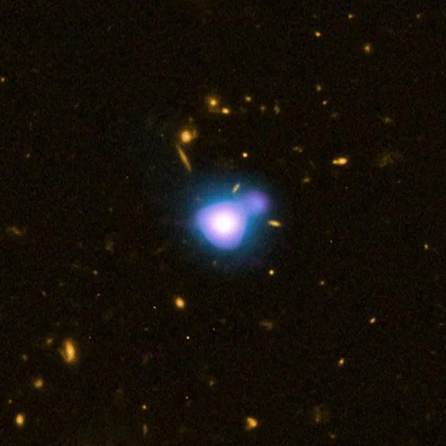 Undated composite image courtesy of NASA shows the most distant X-ray jet from a quasar named GB 1428+4217 located 12.4 billion light years from Earth. X-ray data from NASA's Chandra X-ray Observatory is shown in blue, radio data from the NSF's Very Large Array are shown in purple and optical data from NASA's Hubble Space Telescope are shown in yellow. Giant black holes at the centers of galaxies can pull in matter at a rapid rate producing the quasar phenomenon. (Photo by Reuters/NASA/CXC/NRC/C.Cheung et al/STScI/NSF/NRAO/VLA)