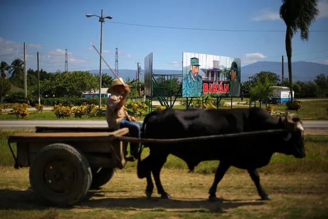 An oxcart drives past a sign showing photographs of Cuba's former President Fidel Castro and his brother, Cuba's President Raul Castro, in Biran, Cuba December 5, 2016. Picture taken December 5, 2016. (Photo by Ivan Alvarado/Reuters)