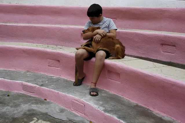 William Garcia holds his dog Diana during a community campaign for the sterilisation and deworming of dogs and cats in Havana, Cuba February 25, 2016. (Photo by Reuters/Stringer)