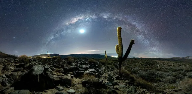 The deserts of Argentina take on a starring role in this photographer’s breathtaking Milky Way shots. Amateur snapper Gonzalo Javier Santile, 46, spent the last two years capturing these rare shots of the galaxy as it arced over deserts in Salta Cafayate, Cordoba Valle de Punilla, Provincia de Buenos Aires and the Rio Negro province. In his pictures, the Milky Way can be admired as it towers over canyons, cacti, bushes, and even small brooks and lakes. (Photo by Gonzalo Javier Santile/Caters News Agency)