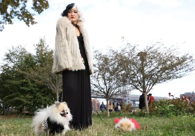 Seira Soraya, dresses as Cruella in a group costume with her Pomeranians Hang Hang and Paung Paung, dressed as dalmations with at the 31st annual Tompkins Square Halloween Dog Parade in New York, U.S., October 23, 2021. (Photo by Caitlin Ochs/Reuters)