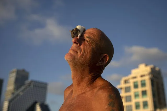 Israeli Moshe Nehoshtan, plays with his pet rat on his face in Tel Aviv's beach, Israel, Saturday, June 19, 2021. (Photo by Oded Balilty/AP Photo)