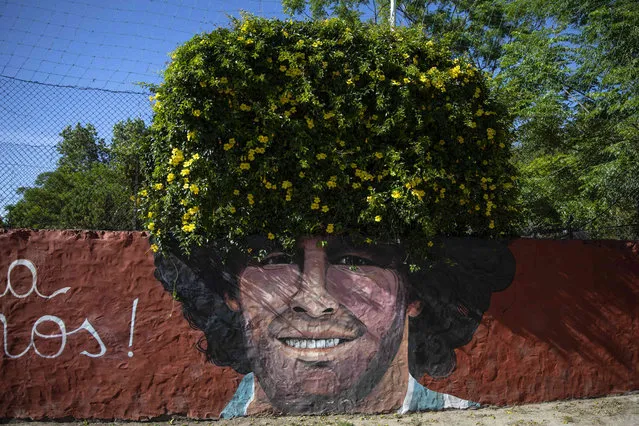 A mural of the late soccer star Diego Maradona decorates the “Lugar del Sol” foundation for poor children in Buenos Aires, Argentina, Wednesday, November 24, 2021. The first anniversary of the soccer legend's death is on Nov. 25. (Photo by Rodrigo Abd/AP Photo)