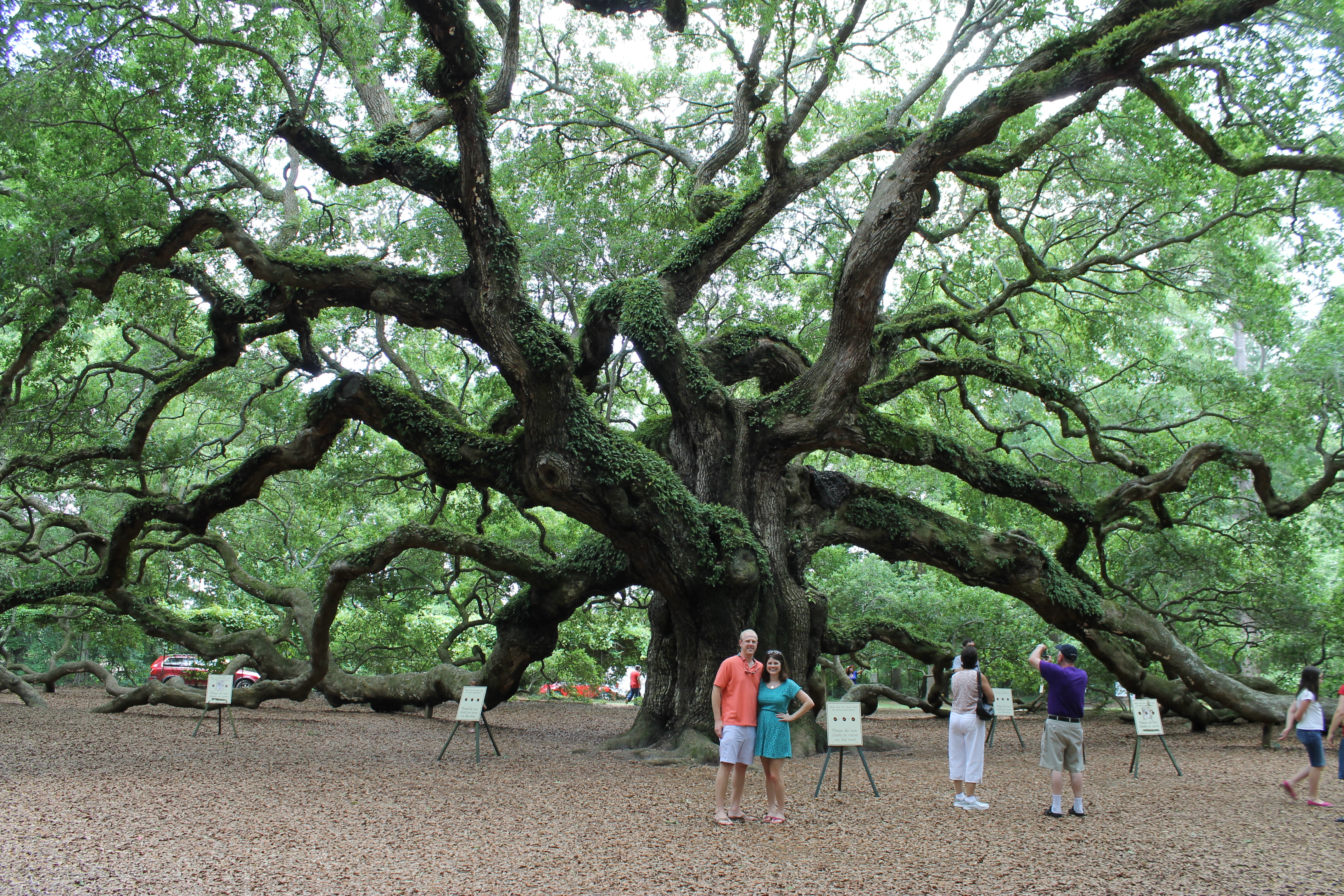 The Angel Oak Tree is estimated to... 