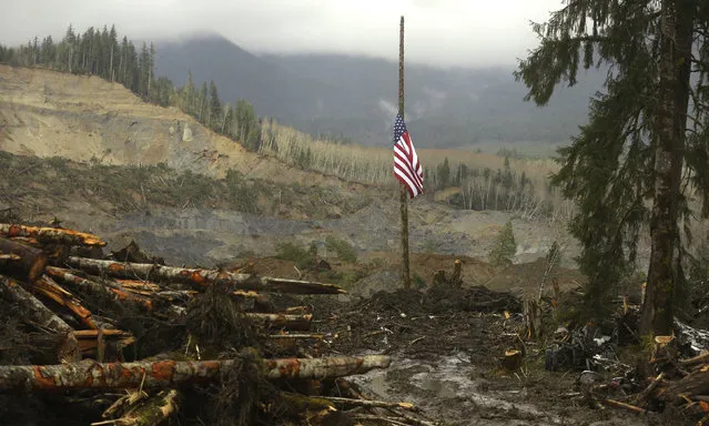 A flag flies at half-staff on a log with the slope of the massive mudslide that struck Oso in the background near Darrington, Washington March 30, 2014. The official death toll from the March 22 catastrophe northeast of Seattle stood at 18, based on the number of victims whose bodies have been recovered and positively identified by medical examiners. But Snohomish County authorities have acknowledged finding 10 more sets of remains that have yet to be identified, putting the overall presumed body count at 28. (Photo by Ted S. Warren/Reuters)