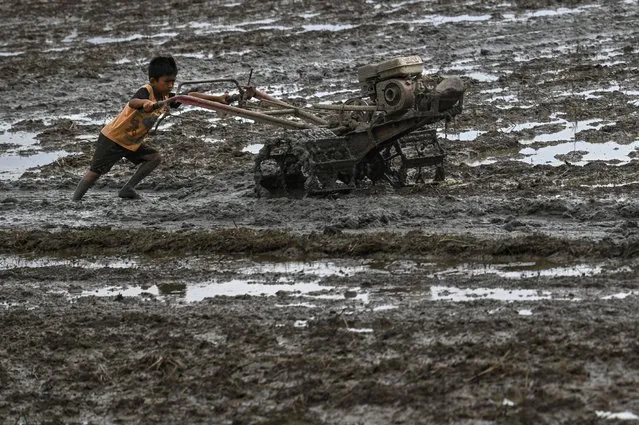 A child uses a hand tractor to plough a paddy field in Nisam, Northern Aceh province on January 13, 2022. (Photo by Chaideer Mahyuddin/AFP Photo)