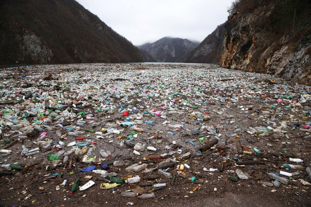 Tonnes of waste, including plastic bottles, used tires and various non-organic waste, float on the Drina river, creating a floating rubbish dump, in Visegrad, Bosnia and Herzegovina on January 5, 2024. (Photo by Amel Emric/Reuters)