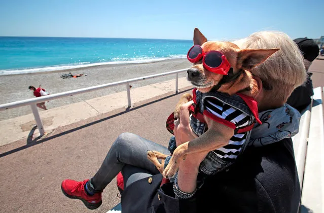 A woman holds her dog “Cesar” as she sits on a bench on the the Promenade Des Anglais during a sunny and warm Spring day in Nice, France, May 4, 2016. (Photo by Eric Gaillard/Reuters)