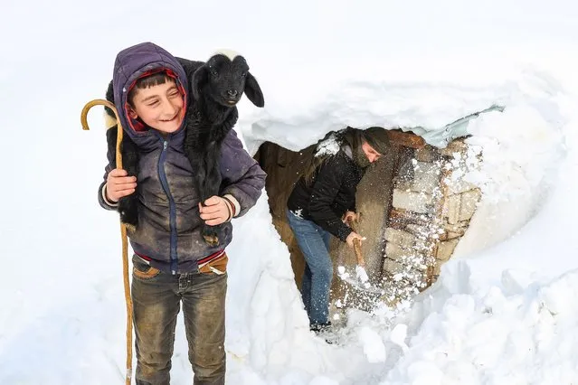 A kid carrying a goat is seen in a snow-covered field in front of his house, in Van, Turkiye on January 29, 2022. The harsh winter conditions in the villages of Van make it difficult for the villagers who make a living from breeding. In some villages, where the snow thickness exceeds 2 meters in places, while trying to clear the snow that rises up to the roofs of the houses, they do not neglect the care of animals, which are their biggest source of income. (Photo by Ozkan Bilgin/Anadolu Agency via Getty Images)