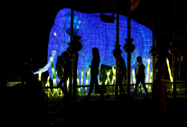 Children observe a giant lantern in the shape of an Asian Elephant during a preview of Taronga Zoo's inaugural contribution to the Vivid Sydney light festival, the annual interactive light installation and projection event around Sydney, May 24, 2016. (Photo by Jason Reed/Reuters)