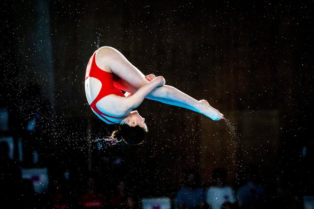 Andrea Spendolini Sirieix of Team Great Britain competes in the Diving – Women's 10m Platform Final on day 11 of the Paris 2024 Olympic Games at Aquatics Centre on August 6, 2024 in Saint-Denis, France. (Photo by Ed Alcock/The Guardian)