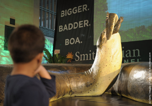Attendees view a replica of the prehistoric Titanoboa, the largest snake to ever live, on display at Grand Central Terminal in New York City