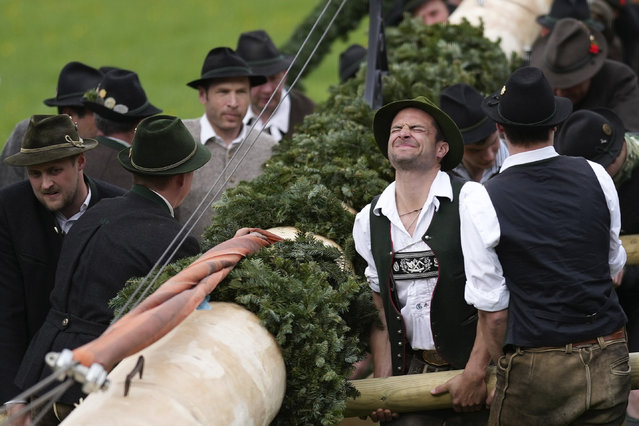 Bavarian highland folk dressed in traditional clothes erect a May pole in Rottach Egern, Germany, Monday, May 1, 2023. May trees are traditionally set up all over Bavaria on May 1. Ribbons are attached and dances are held around the pole. (Photo by Matthias Schrader/AP Photo)