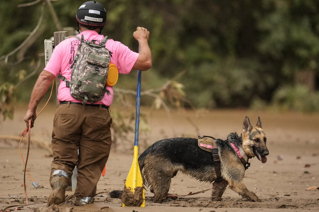 A search and rescue dog and handler searches for victims in deep mud in the aftermath of Hurricane Helene, Tuesday, October 1, 2024, in Swannanoa, N.C. (Photo by Mike Stewart/AP Photo)