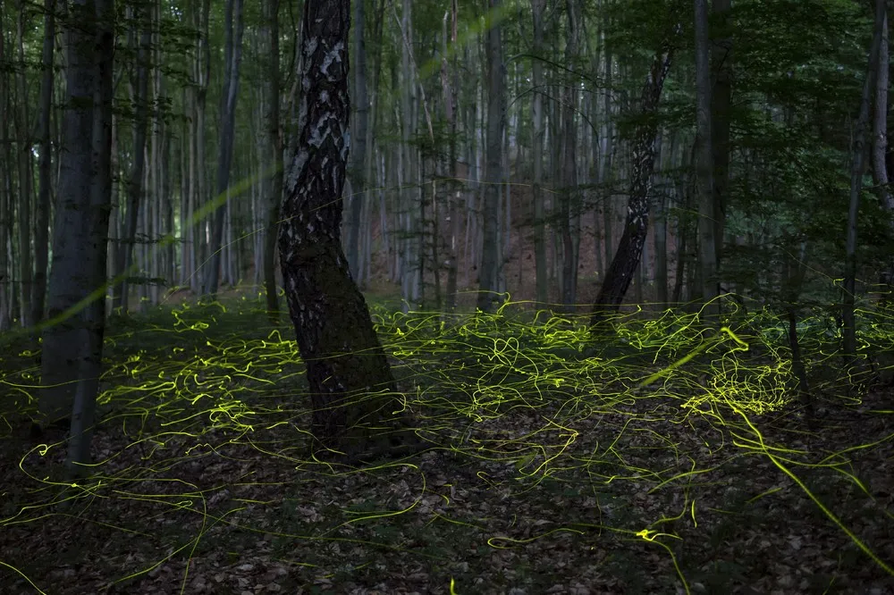 The Day in Photos – June 30, 2022