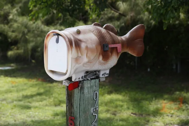 A mailbox in the shape of a fish is seen along the highway US-1 in the Lower Keys near Key Largo in Florida, July 10, 2014. (Photo by Wolfgang Rattay/Reuters)