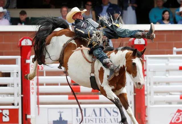 Jake Vold of Airdrie, Alberta, rides the horse Up Ur Alley in the bareback event during the Calgary Stampede rodeo in Calgary, Alberta, Canada July 8, 2016. (Photo by Todd Korol/Reuters)