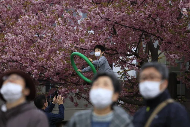 People with masks visit a cherry blossom festival in Matsuda, Kanagawa prefecture, south of Tokyo, Saturday, February 29, 2020. The coronavirus outbreak began to look more like a worldwide economic crisis as anxiety about the infection emptied shops and amusement parks, canceled events, cut trade and travel and dragged already slumping financial markets even lower. (Photo by Jae C. Hong/AP Photo)