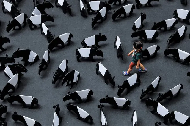 A child walks near the 101 mini Tapir's art installation by Malaysia artist Nicholas Lim at Publika, in Kuala Lumpur, Malaysia, 03 August 2022. The display will be held from 25 July until 07 August 2022 to raise awareness of this endangered species. (Photo by Fazry Ismail/EPA/EFE)