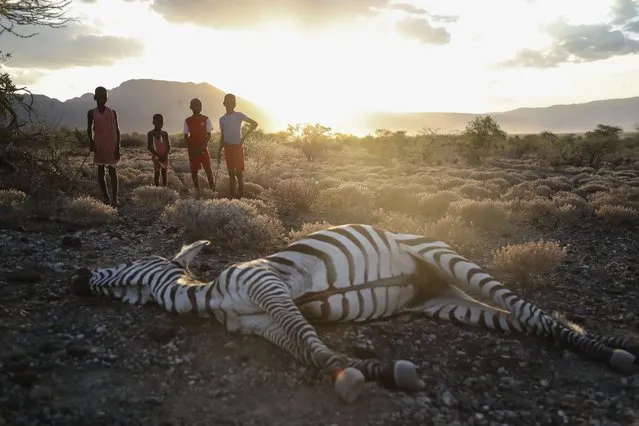 Maasai children stand beside a zebra that local residents said died due to drought, as they graze their cattle at Ilangeruani village, near Lake Magadi, in Kenya, on Wednesday, November 9, 2022. Parts of Kenya have experienced four consecutive seasons with inadequate rain in the past two years, with dire effects for people and animals, including livestock. (Photo by Brian Inganga/AP Photo)
