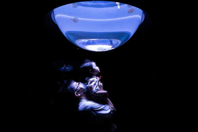 Visitors look at jellyfish swimming in a tank at Sunshine Aquarium in Tokyo, Japan on July 11, 2020. The Sunshine Aquarium reopened on 08 June after a three months long closure due to the COVID-19 coronavirus pandemic. (Photo by Pierre-Emmanuel Delétrée/SIPA Press/Rex Features/Shutterstock)