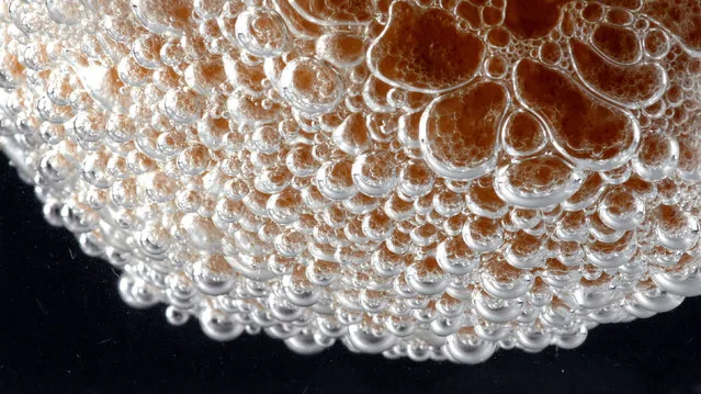 Eggshell reacting with hydrochloric acid to produce carbon dioxide bubbles. (Photo by Yan Liang/Caters News)
