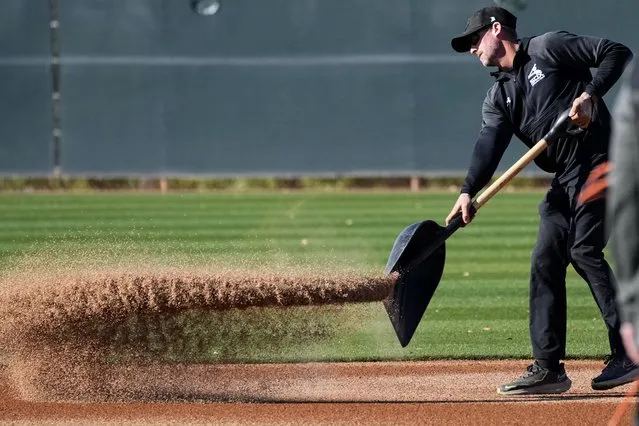A Chicago White Sox groundskeeper prepares the infield during an MLB spring training baseball practice, in Phoenix, Saturday, February 18, 2023. (Phoot by Matt York/AP Photo)
