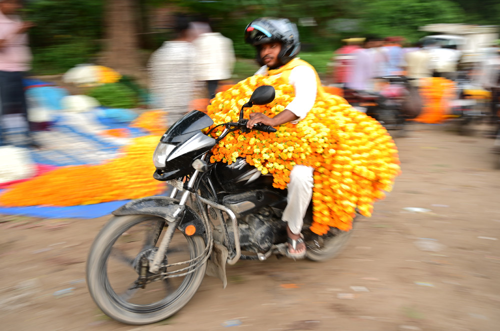 A Look at Life in India