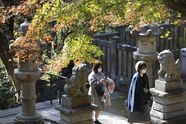 Visitors wearing face masks to protect against the spread of the coronavirus walk through the colorful autumn leaves at the Kenchoji temple in Kamakura, Monday, November 30, 2020. (Photo by Koji Sasahara/AP Photo)