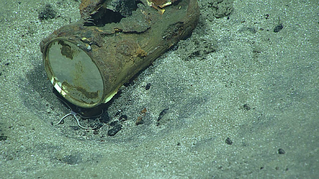 This June 29, 2016 image made available by NOAA shows a can on an unnamed seamount at a depth of 3,306 meters (2 miles), during a deepwater exploration of the Marianas Trench Marine National Monument area in the Pacific Ocean near Guam and Saipan. (Photo by NOAA Office of Ocean Exploration and Research via AP Photo)