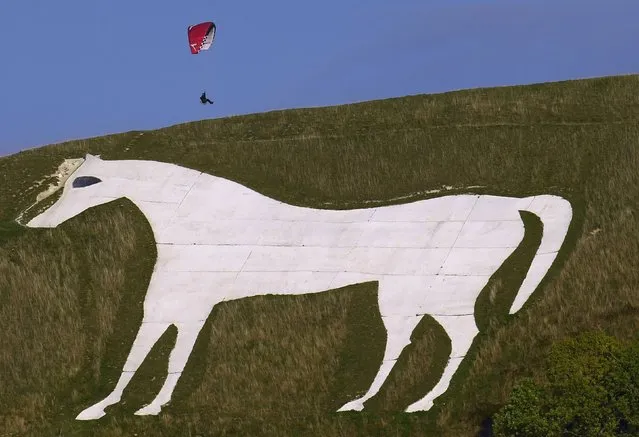 A paraglider flies above a “white horse”, dating back to the 18th century and with possible 9th century origins, carved on the chalk hillside of Salisbury Plain in Wiltshire in south west Britain, in this photograph taken on October 21, 2016. (Photo by Toby Melville/Reuters)