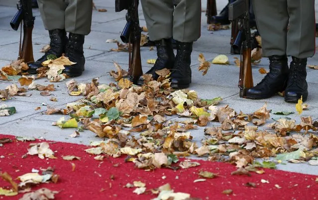 The wind blows fallen leaves over the red carpet in front of the guard of honour as they prepare for a state visit in Vienna, Austria, November 18, 2015. (Photo by Heinz-Peter Bader/Reuters)