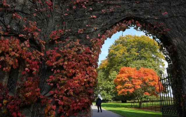 Visitors view the autumn foliage and colours in the gardens and estate at Stourhead in south west Britain, October 21, 2016. (Photo by Toby Melville/Reuters)