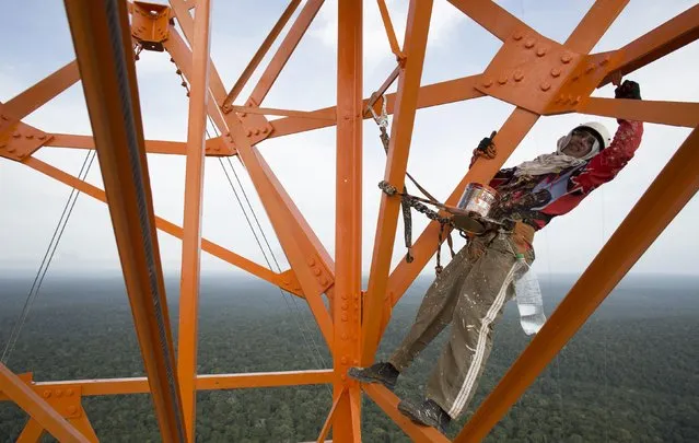 A worker paints the Amazon Tall Tower Observatory (ATTO) in Sao Sebastiao do Uatuma in the middle of the Amazon forest in Amazonas state January 10, 2015. (Photo by Bruno Kelly/Reuters)