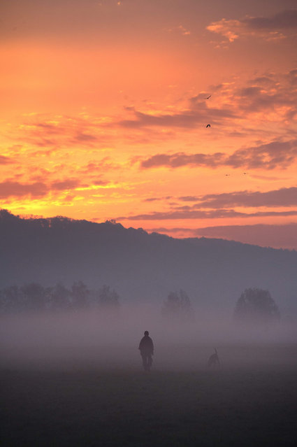 A woman walks with her dog on a foggy morning near Dresden, Germany, 06 November 2015. (Photo by Arno Burgi/EPA)