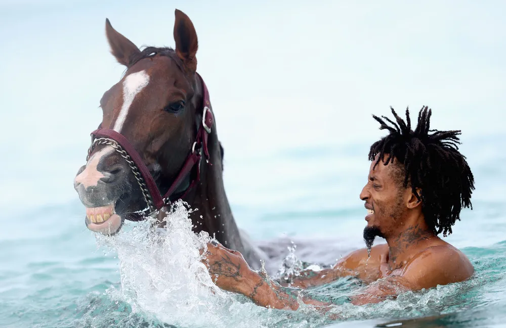 Swimming with Horses