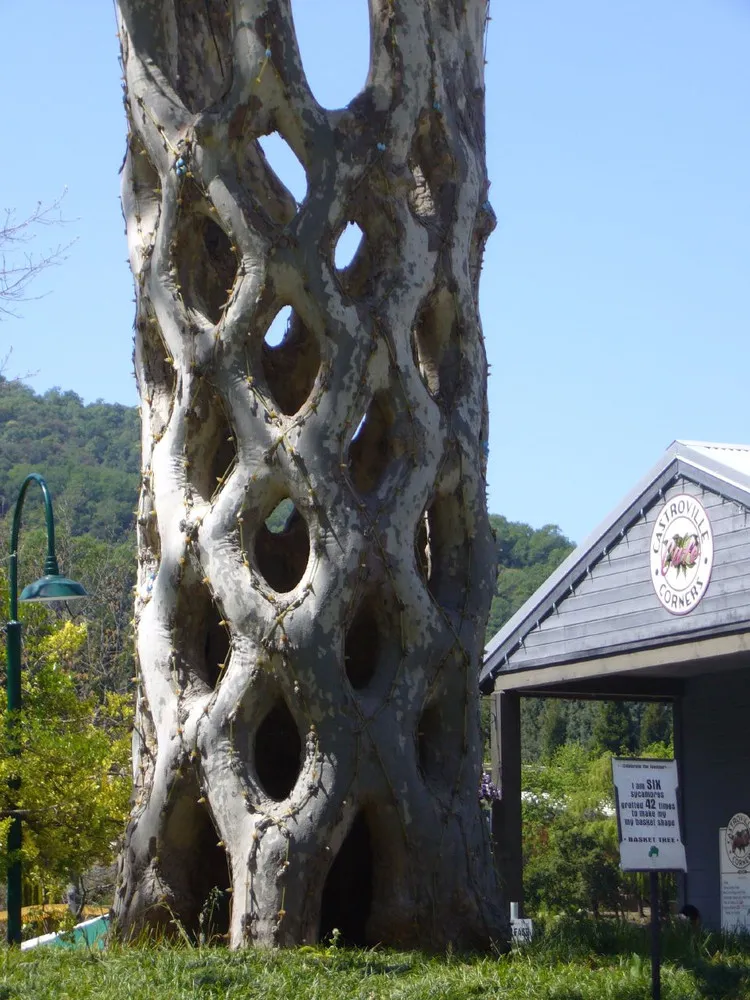 The Weird Shaped Trees of Axel Erlandson