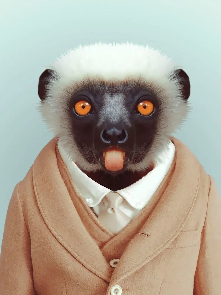 Zoo Portraits by Yago Partal. Part 2
