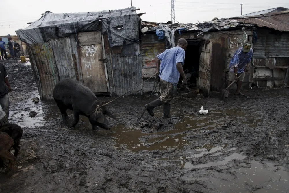 Inside a Haitian Slaughterhouse