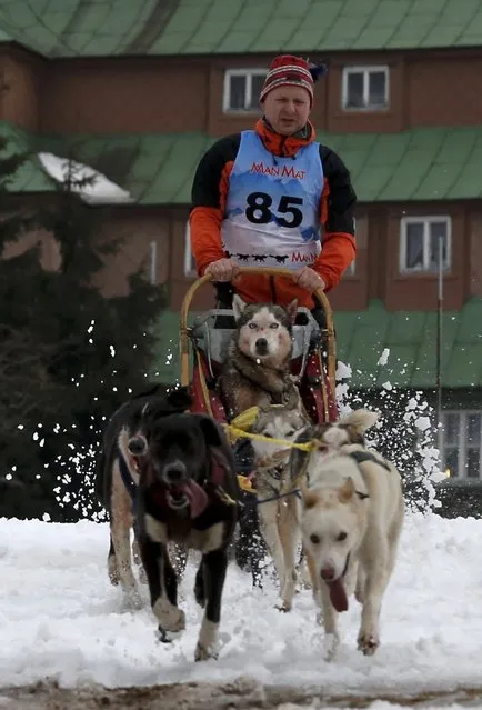 In this photo taken on Wednesday, January 27, 2016, a musher competes with his dogs during the Sedivackuv Long dog sled race near the village of Destne v Orlickych horach, Czech Republic. (Photo by Petr Josek/AP Photo)
