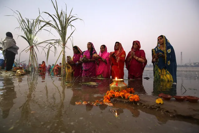 Hindu devotees worship the Sun god on the banks of the Sabarmati river during the religious festival of Chhath Puja in Ahmedabad, India, November 14, 2018. (Photo by Amit Dave/Reuters)