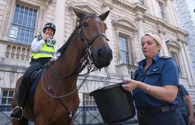 A police horse drinks from a bucket during a hot day in London, Britain, 18 July 2022. The Met Office on 15 July has issued a “Red Extreme” heat warning for the week starting on 18 july as temperatures across Britain were expected to reach over 40 degrees Celsius. (Photo by Neil Hall/EPA/EFE/Rex Features/Shutterstock)